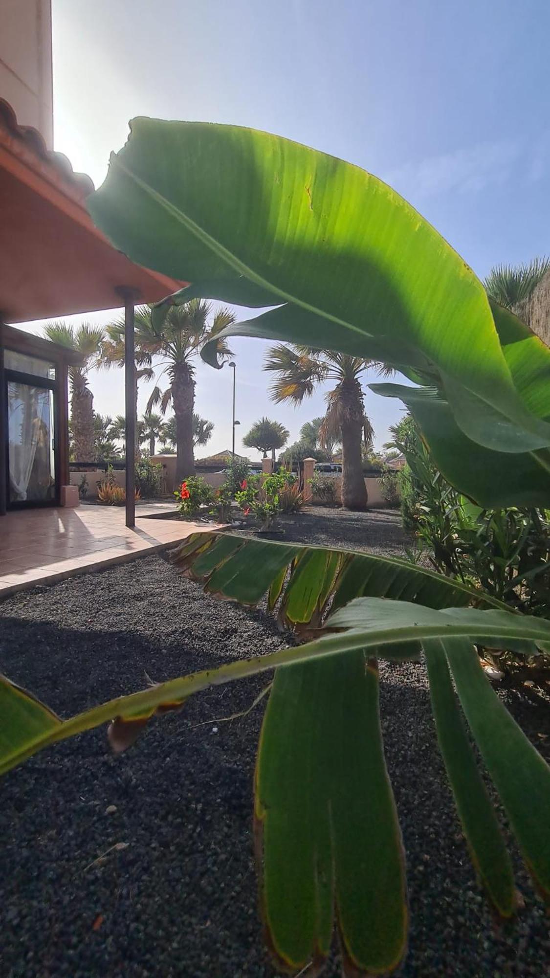 Green Ocean House - Origo Mare Lajares Exterior photo